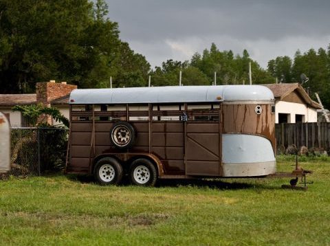 horse float